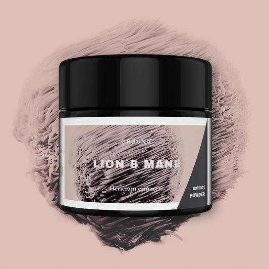 Lion’s Mane Organic Extract Powder 30g - KÄÄPÄ Mushrooms