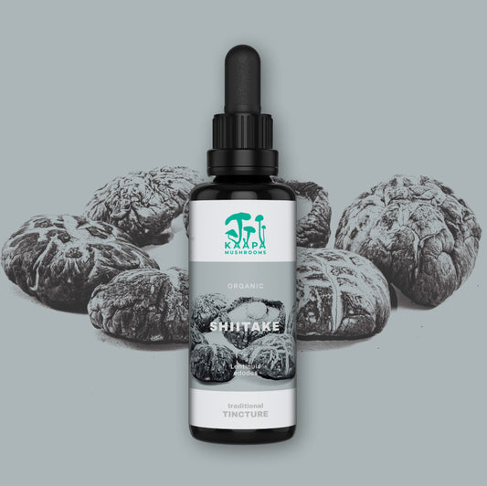 Shiitake Organic Tincture - KÄÄPÄ Mushrooms